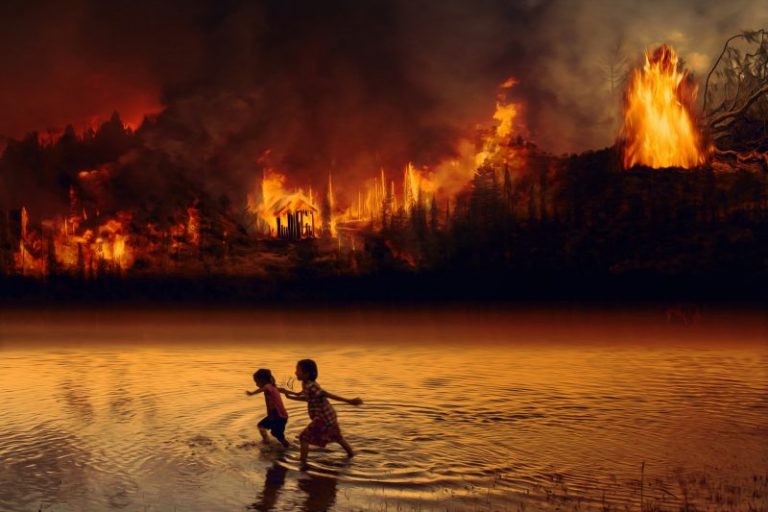 Penyebab Kebakaran Hutan Beserta Dampak dan Penanggulangannya