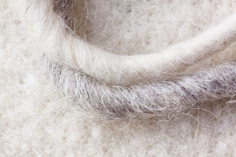 Pakaian berbahan wol berasal dari hewan