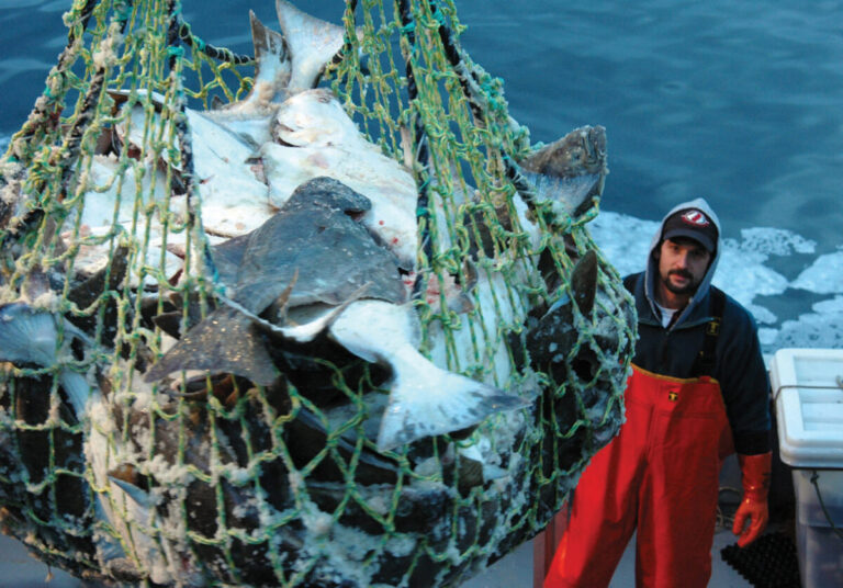 √15 Hasil Tangkapan Ikan Cara Bycatch yang Merusak Lingkungan